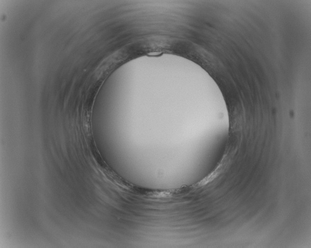 X0000072940140200607210916