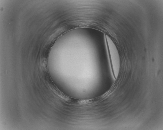 X0000072940141200607210916