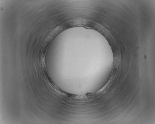 X0000072940142200607210916