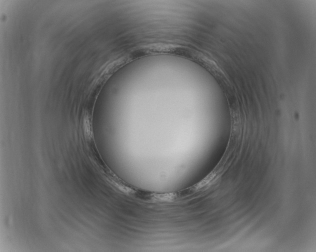 X0000072940143200607210916