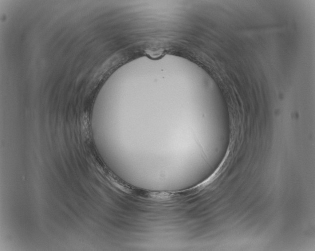 X0000072940144200607210916