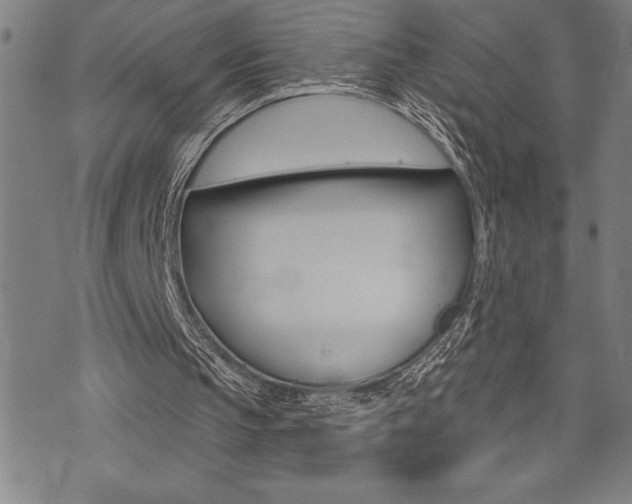 X0000072940145200607210916