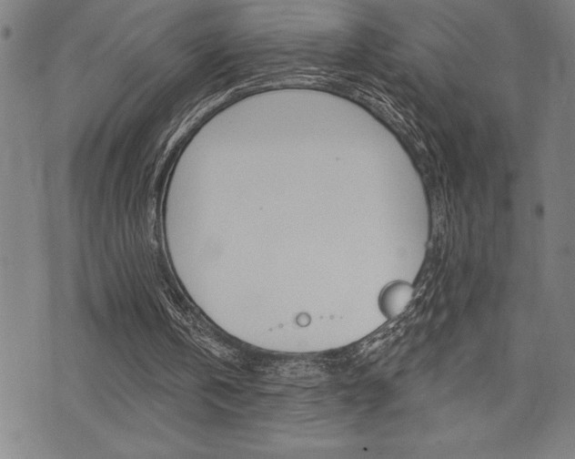 X0000072940146200607210916