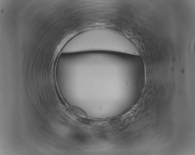 X0000072940147200607210916