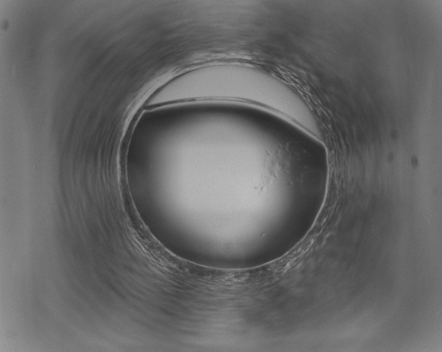 X0000072940148200607210916