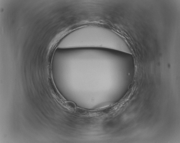 X0000072940149200607210916