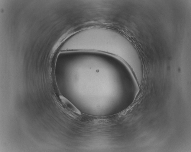 X0000072940150200607210916