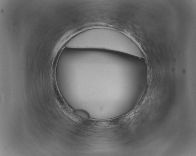 X0000072940151200607210916