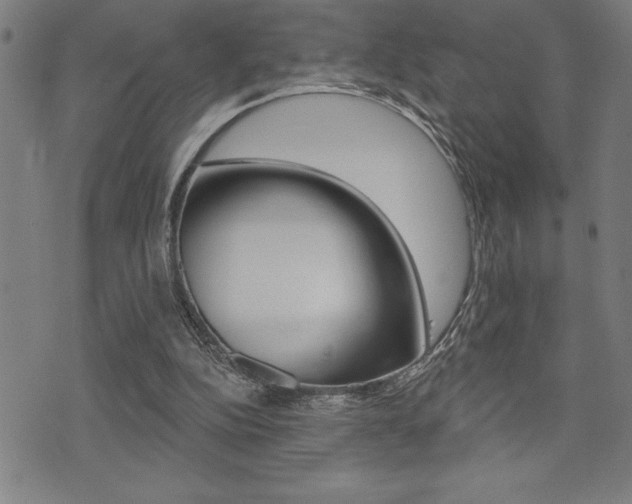 X0000072940152200607210916