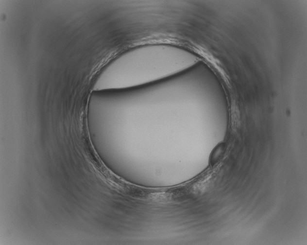 X0000072940153200607210916