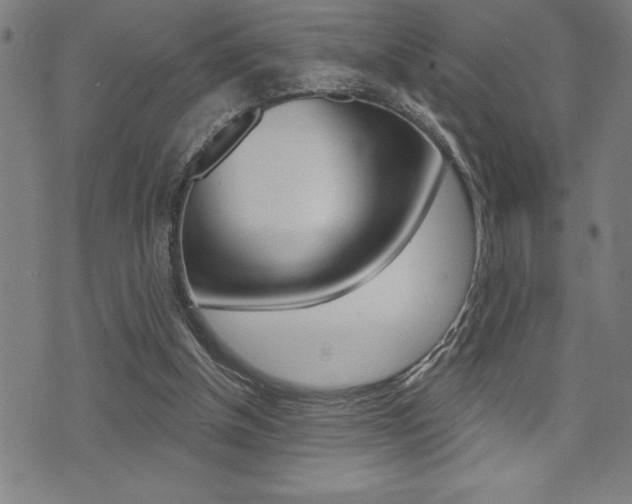 X0000072940154200607210916