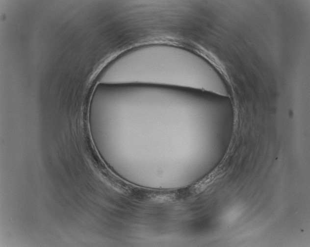 X0000072940155200607210916