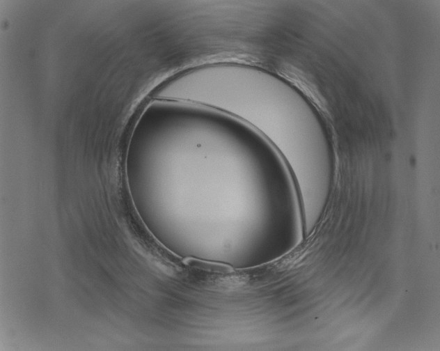 X0000072940156200607210916