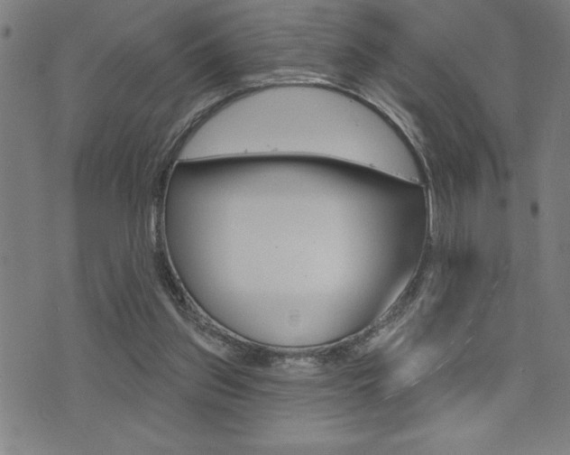 X0000072940157200607210916