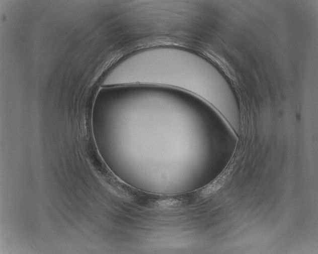 X0000072940158200607210916