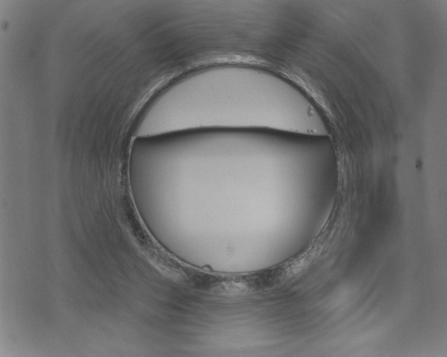 X0000072940159200607210916