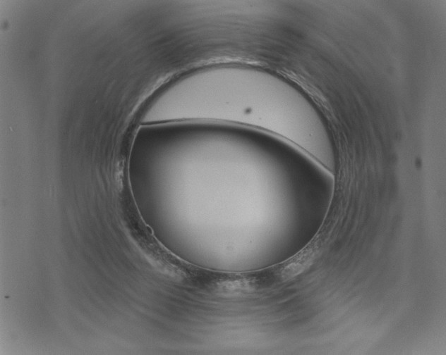 X0000072940160200607210916