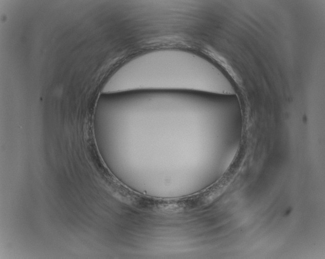 X0000072940161200607210916