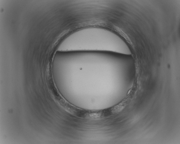 X0000072940163200607210916