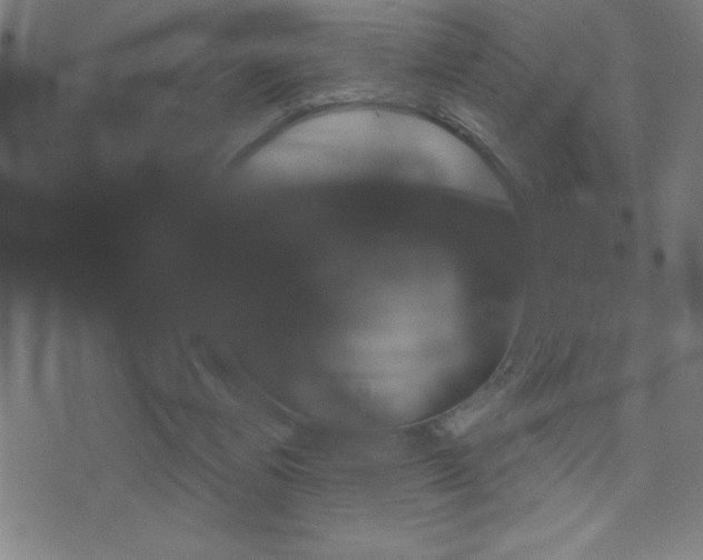 X0000072940164200607210916