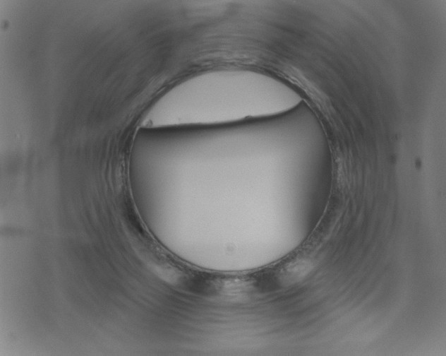 X0000072940165200607210916