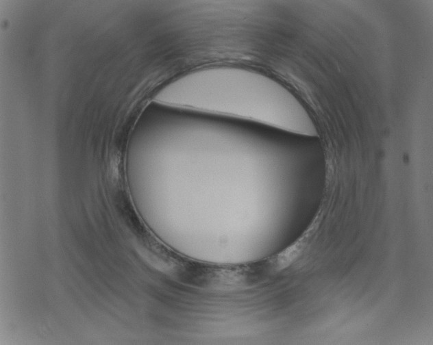 X0000072940166200607210916