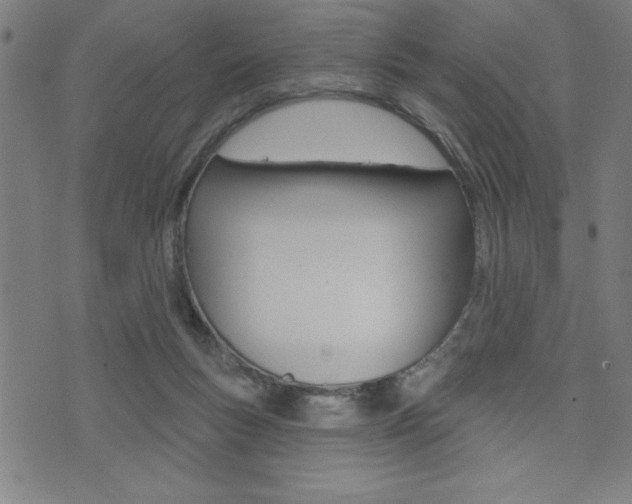 X0000072940167200607210916