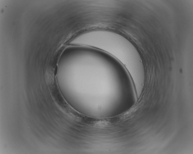 X0000072940168200607210916