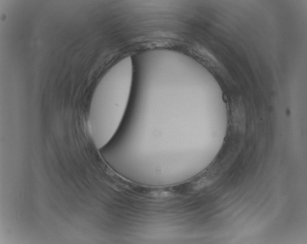 X0000072940169200607210916