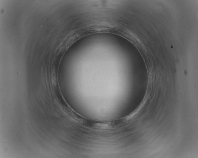 X0000072940170200607210916