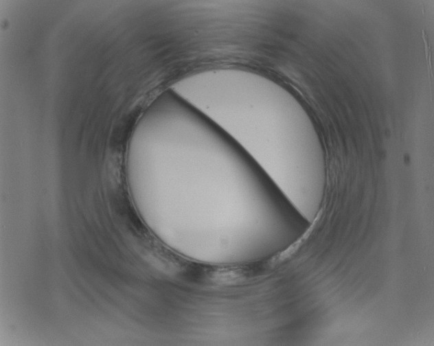 X0000072940171200607210916