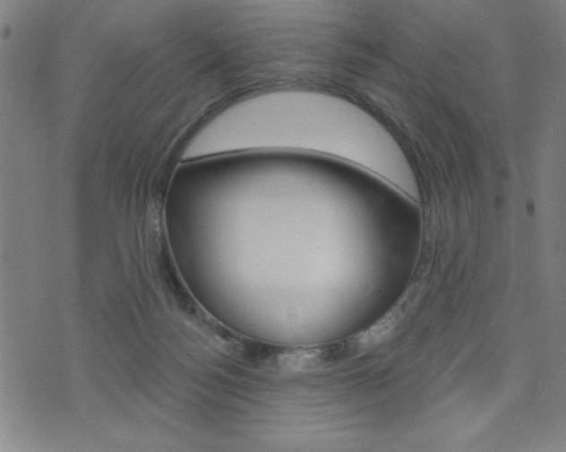 X0000072940172200607210916