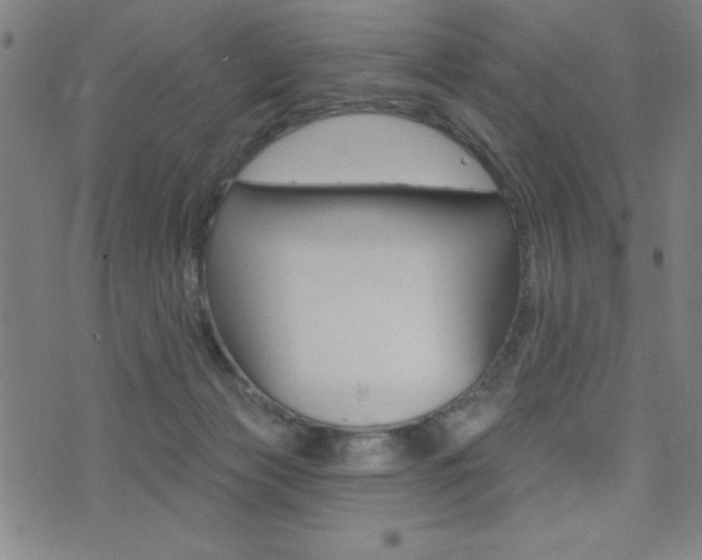 X0000072940173200607210916