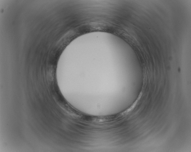 X0000072940174200607210916