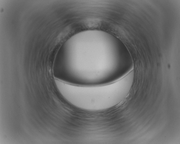 X0000072940176200607210916