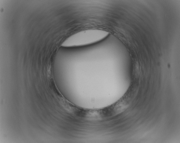 X0000072940177200607210916