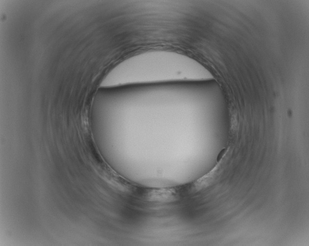 X0000072940179200607210916