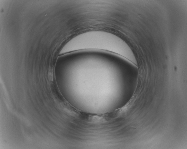 X0000072940180200607210916