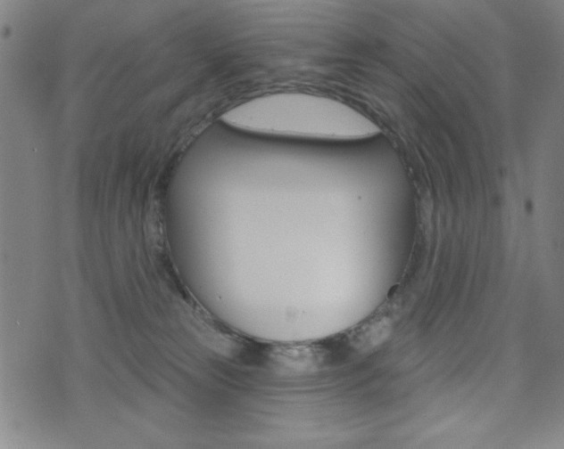 X0000072940181200607210916