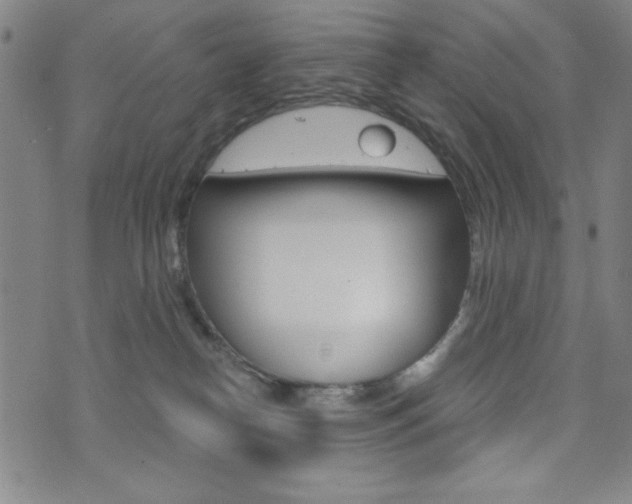 X0000072940182200607210916