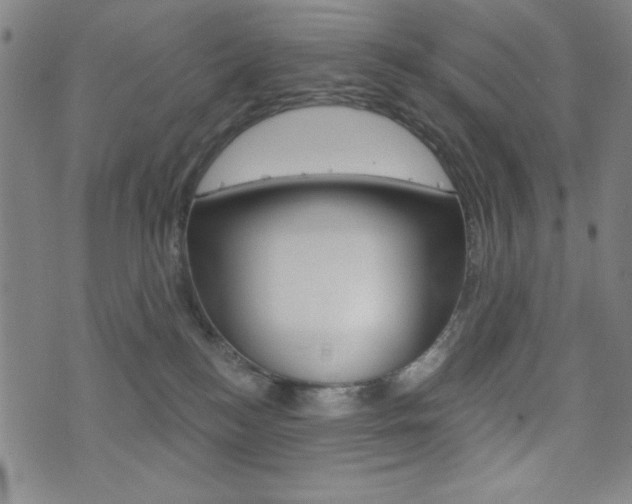 X0000072940184200607210916