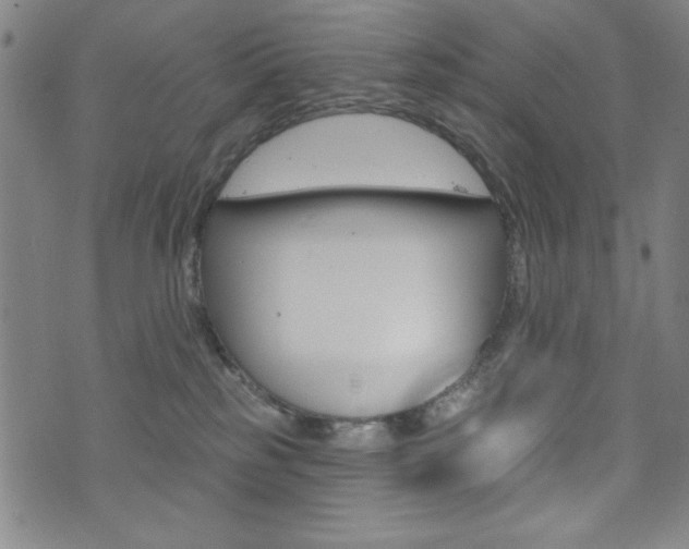 X0000072940185200607210916