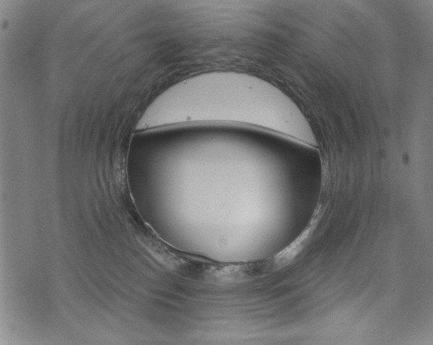 X0000072940186200607210916