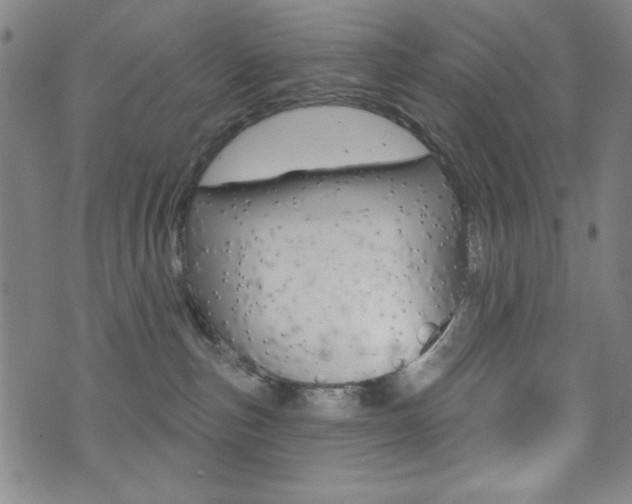 X0000072940187200607210916