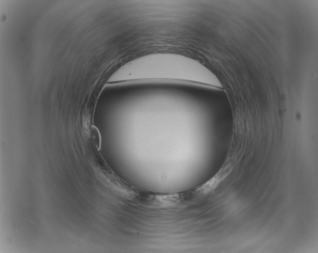 X0000072940188200607210916