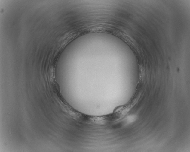 X0000072940189200607210916