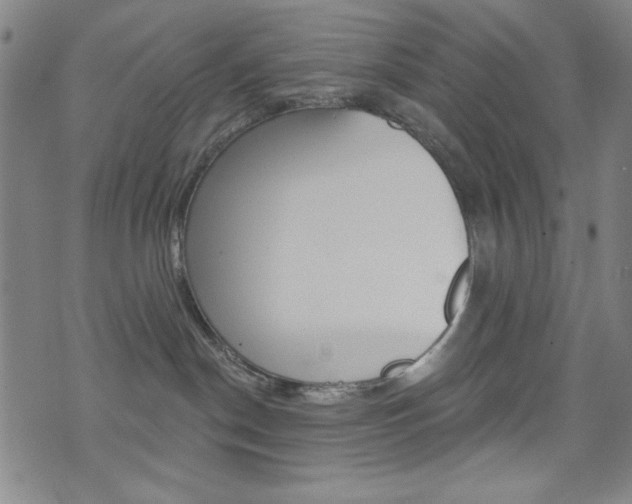 X0000072940190200607210916