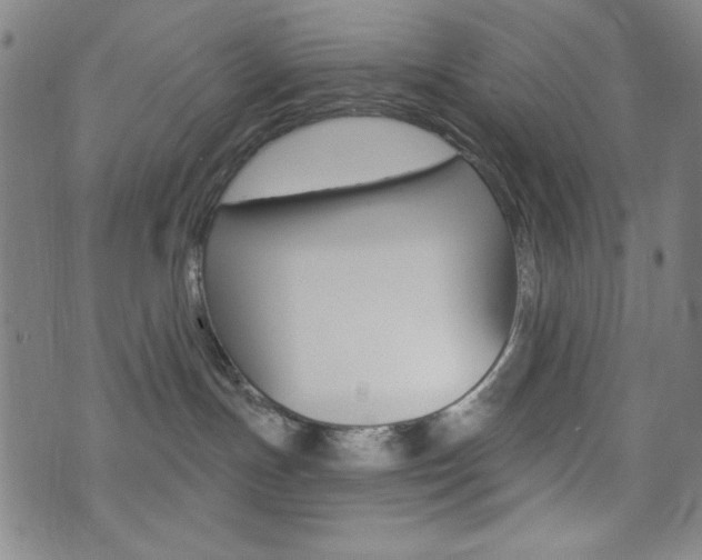 X0000072940191200607210916