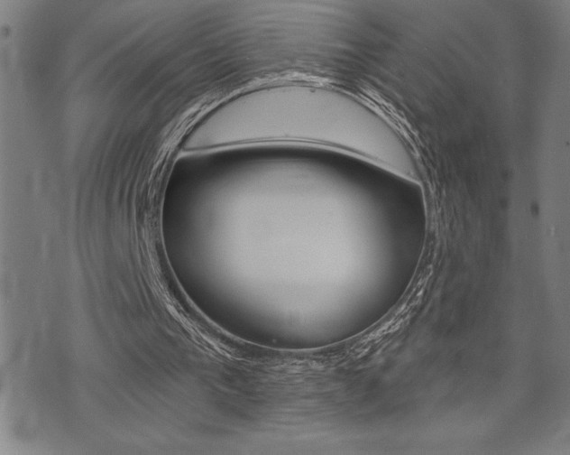 X0000072940193200607210916