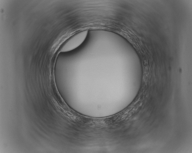 X0000072940194200607210916